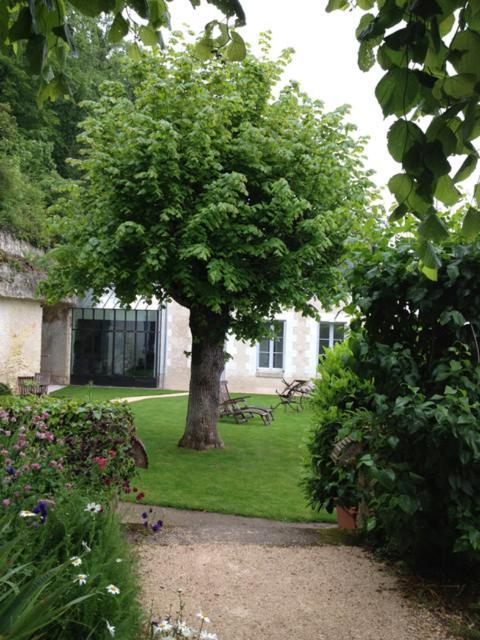 Château de Nazelles Nazelles-Negron Exterior foto
